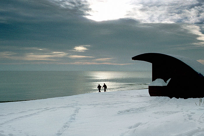 ������: ������ ��������