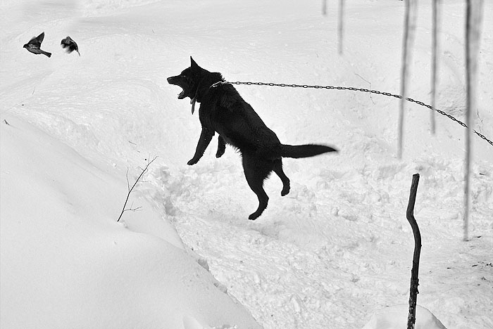 ������: ������ ��������