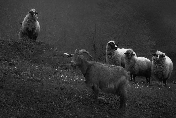 ������: ������ ��������