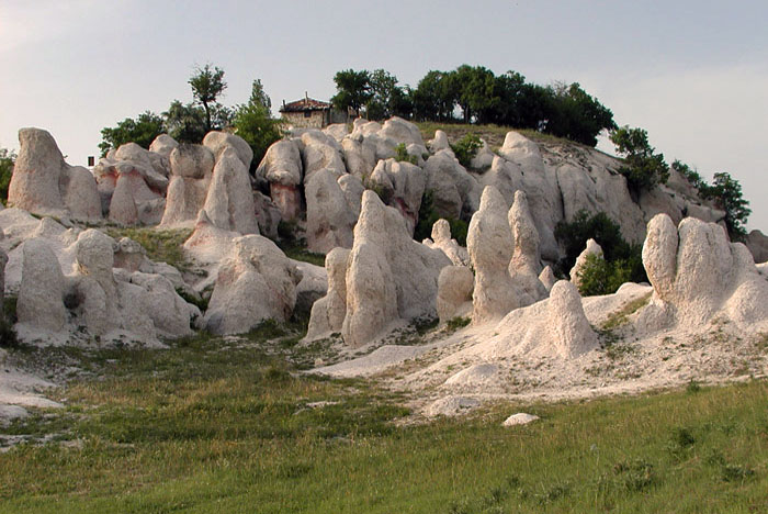 ������: ������ ��������