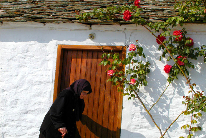 ������: ������ ��������