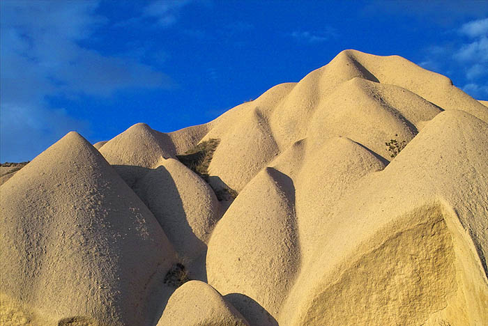 ������: ������ ��������