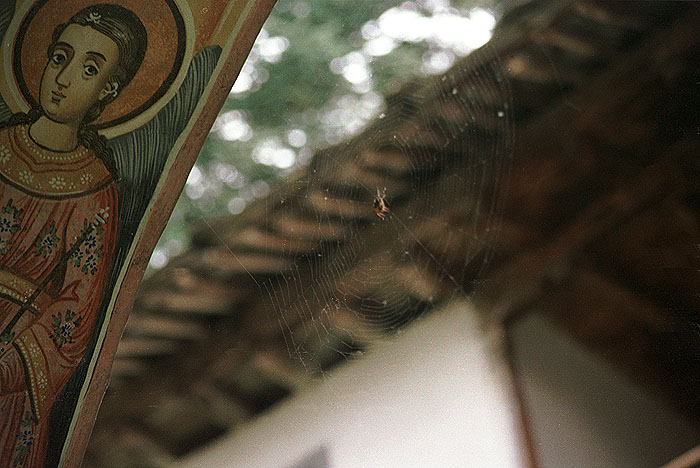 ������: ������ ��������