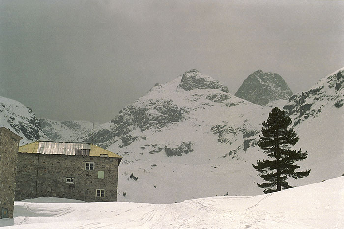 ������: ������ ��������