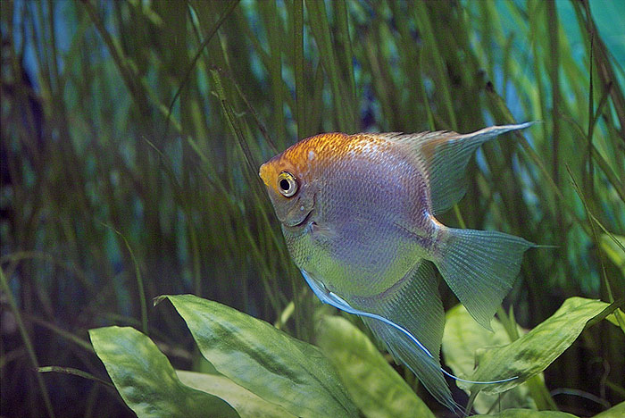 ������: ������ ��������