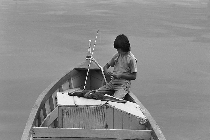 ������: ������ ��������