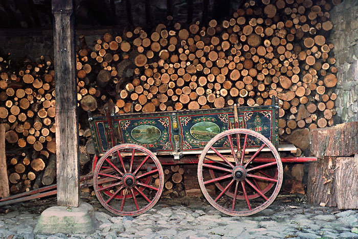 ������: ������ ��������