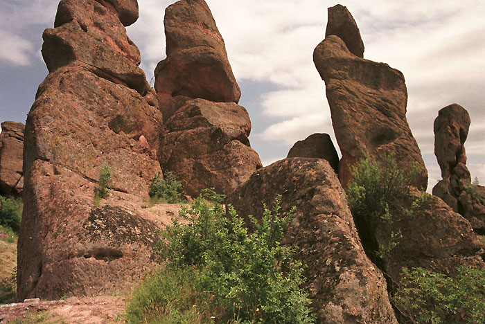 ������: ������ ��������