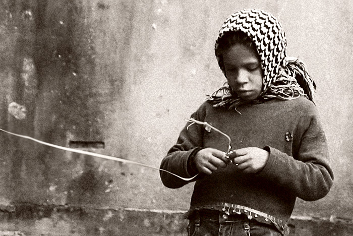 ������: ���� �����