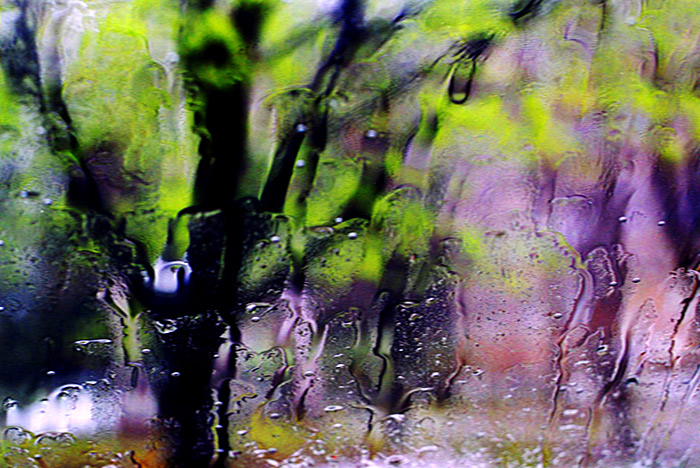 ������: ���� �����