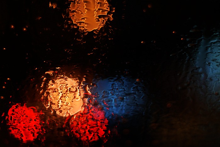 ������: ���� �����