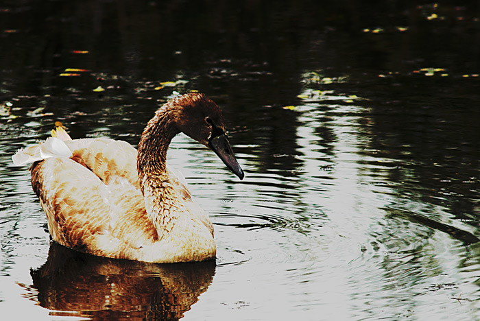 ������: ���� �����