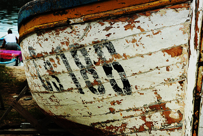 ������: ���� �����