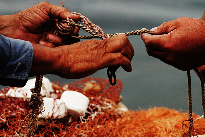 ������: ���� �����