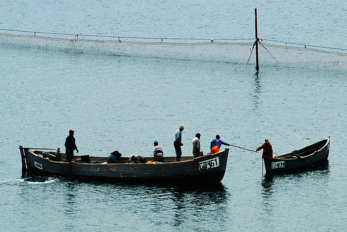 ������: ���� �����