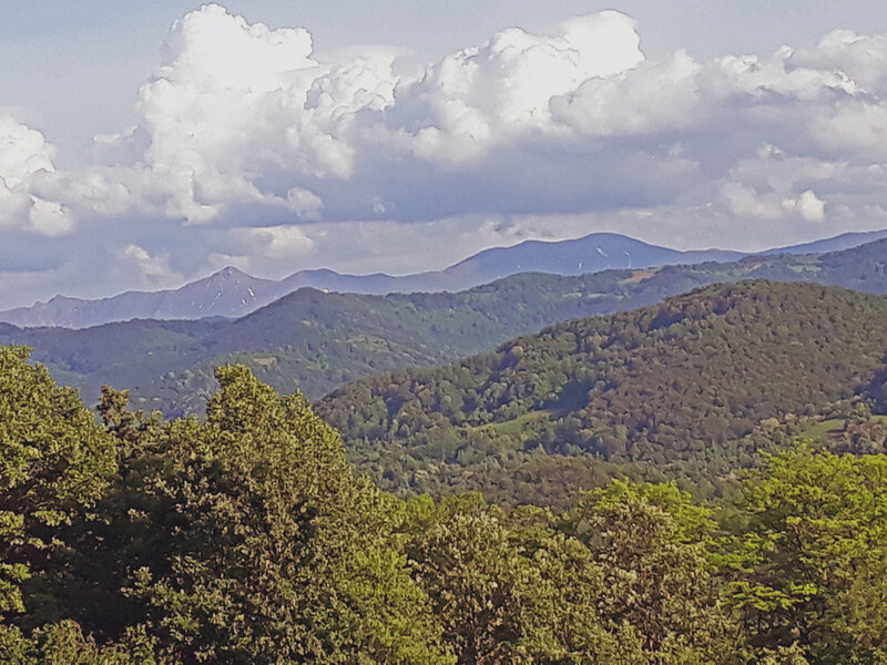 Photo in No category Author ivan hadjidimitrov hadji PHOTO FORUM