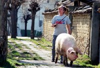 Always Coca Cola; Коментари:11