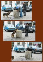 Ku4e6ka mu rabota; Коментари:15