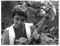 Така протича денят на NATO; Коментари:15