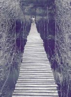 мост; Коментари:11