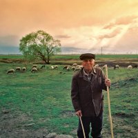 * * *; Коментари:26