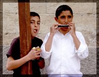 Хармониката, която Жоро подари; Коментари:12