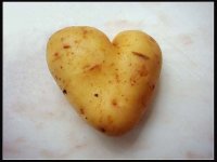 Subterranean love; Коментари:14