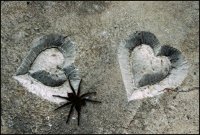 Яго; Коментари:15