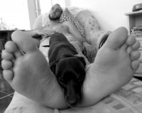 sleep; Коментари:26