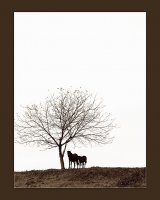 ...; Коментари:19