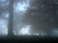 В часа на синята мъгла; Коментари:21