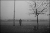 без име ( ID=48770 ); Коментари:8