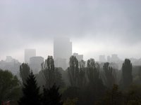 Just Another Day In Paradise; Коментари:16