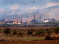 без думи; Коментари:11