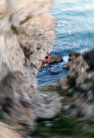 без име ( ID=49420 ); Коментари:10