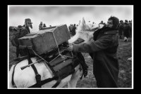 без име ( ID=49359 ); Коментари:16