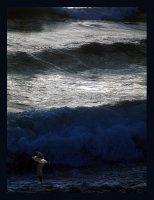 ...- бурен и нежен; Коментари:14