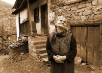 dreamland; comments:35