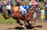 Ежедневие,Кошии-Конни кошии по случай селищния празник на град Исперих,; comments:9