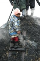 Ежедневие,Тони-Многочленно семейство обработва дървени въглеща. Тони е най-малкия помощник в семействоно; comments:5