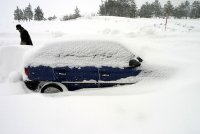 Природа и околна среда,Бедствие сняг затрупани хора-Над 100 леко и тежко-товарни автомобила са блокирали пътя Варна-Добрич в двете посоки на 23 Януари заради обилният снеговалеж и навявания; comments:4