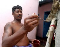 Световни събития,Шриланкиец храни катеричка сред разрушенията от приливните вълни.; comments:8