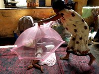 Световни събития ,Коломбо – столицата на Шри Ланка, бежански лагер; майка, чието жилище е разрушено от вълната цунами покрива с мрежа детето си; comments:8