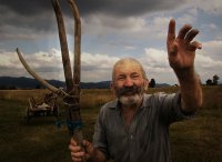 Много здраве от Бай Стоян; Коментари:233