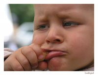 Ще ям-ям-ям и ще стана голям!; Коментари:34