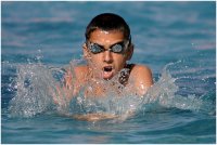 Шампион; Коментари:19