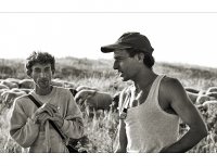 . . . о в ч а р и . . .; comments:11