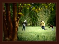 Приказка в парка; Коментари:20