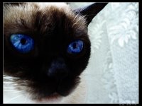 Ъъъъ.. тука какво има?; comments:5