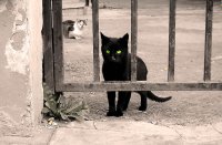 no name ( ID=221484 ); comments:36